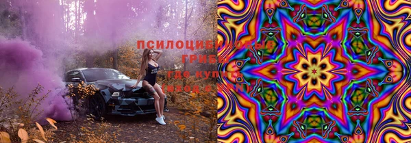 экстази Дмитриев