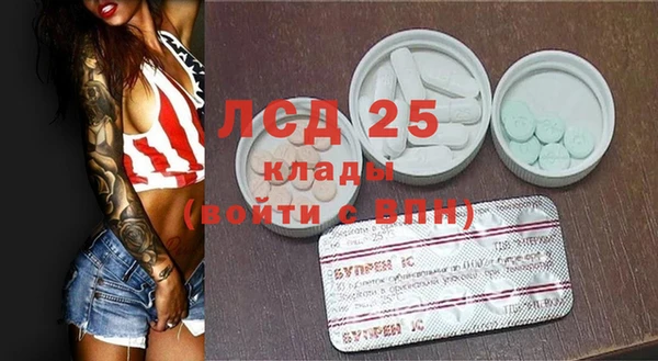 стафф Дмитров