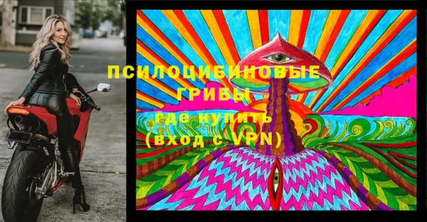 стафф Дмитров
