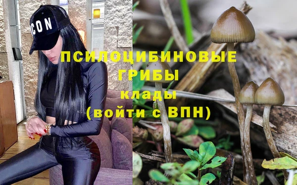 стафф Дмитров