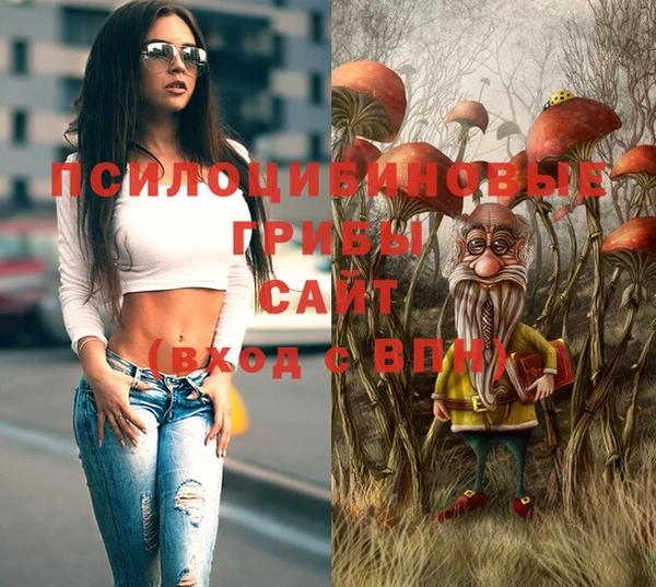 метамфетамин Гусев