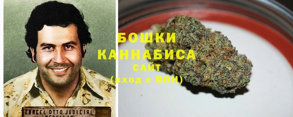 мяу мяу кристалл Гусь-Хрустальный